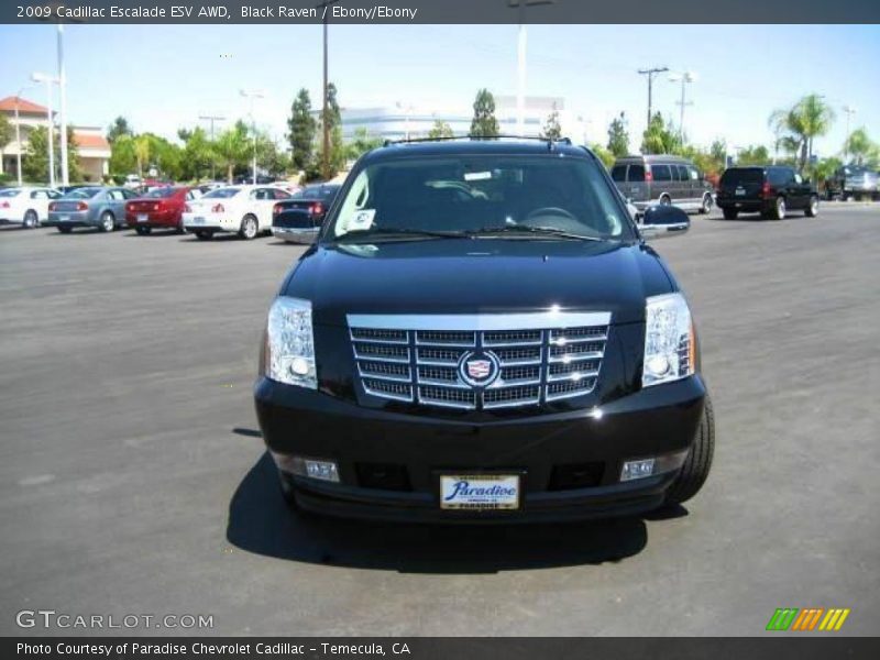 Black Raven / Ebony/Ebony 2009 Cadillac Escalade ESV AWD
