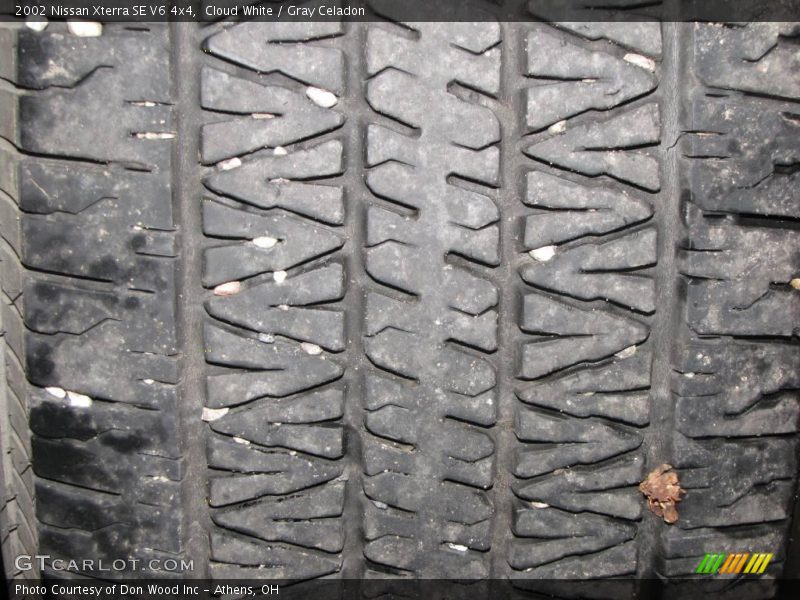 Cloud White / Gray Celadon 2002 Nissan Xterra SE V6 4x4