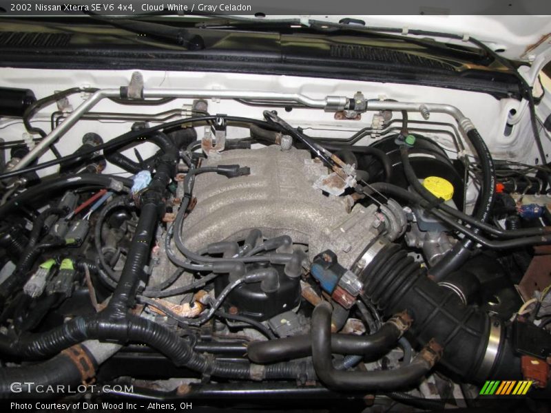 Cloud White / Gray Celadon 2002 Nissan Xterra SE V6 4x4