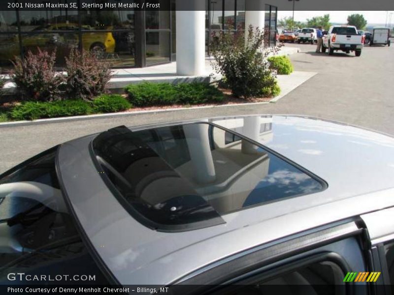 Sterling Mist Metallic / Frost 2001 Nissan Maxima SE