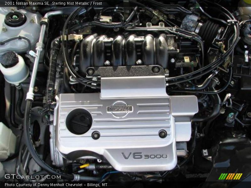 Sterling Mist Metallic / Frost 2001 Nissan Maxima SE