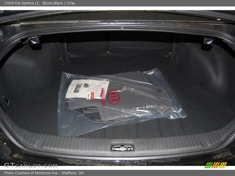 Ebony Black / Gray 2009 Kia Optima LX