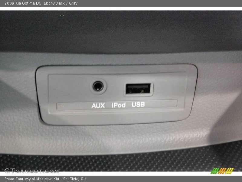 Ebony Black / Gray 2009 Kia Optima LX