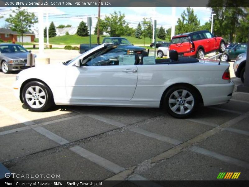 Alpine White / Black 2006 BMW 3 Series 325i Convertible