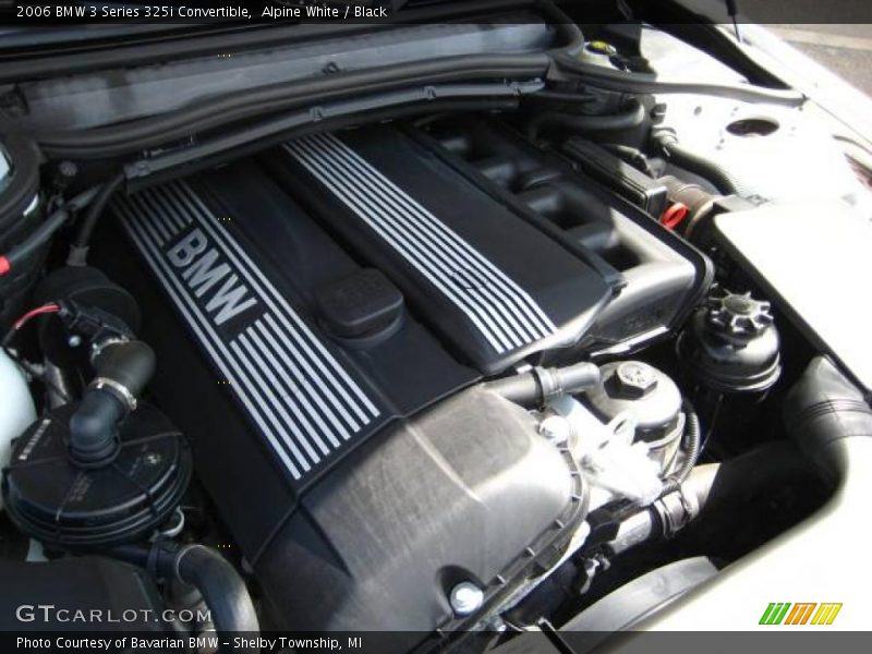 Alpine White / Black 2006 BMW 3 Series 325i Convertible