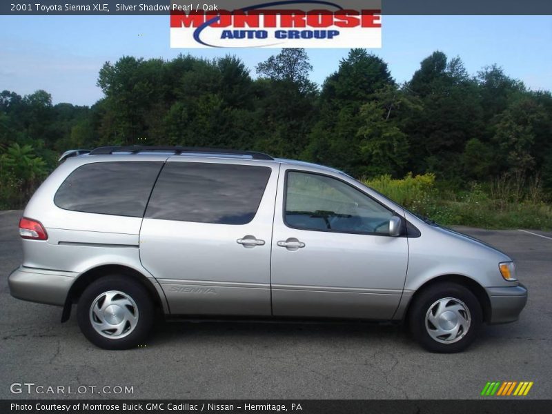 Silver Shadow Pearl / Oak 2001 Toyota Sienna XLE