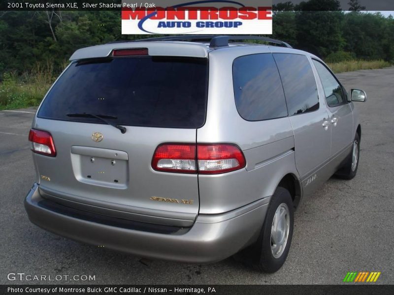 Silver Shadow Pearl / Oak 2001 Toyota Sienna XLE