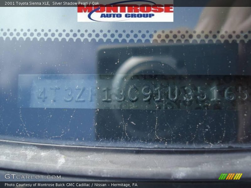 Silver Shadow Pearl / Oak 2001 Toyota Sienna XLE