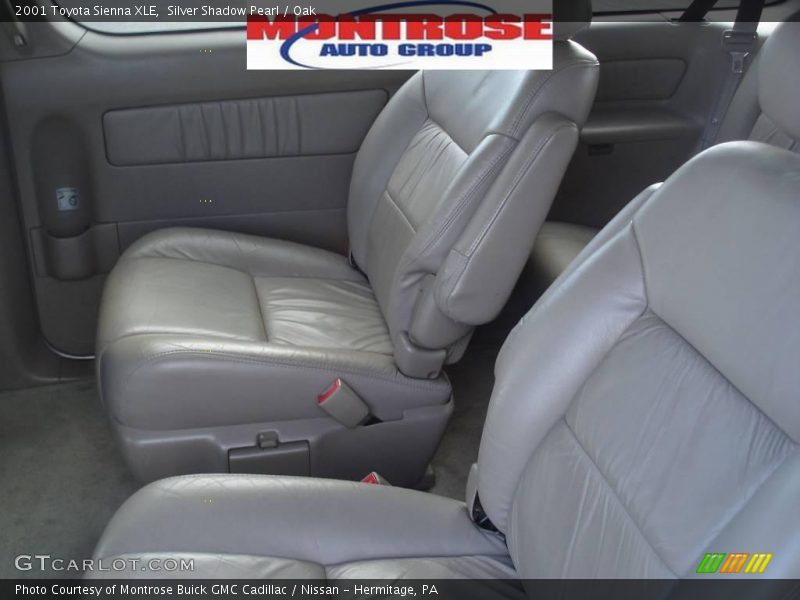 Silver Shadow Pearl / Oak 2001 Toyota Sienna XLE