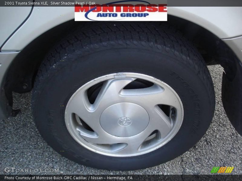 Silver Shadow Pearl / Oak 2001 Toyota Sienna XLE