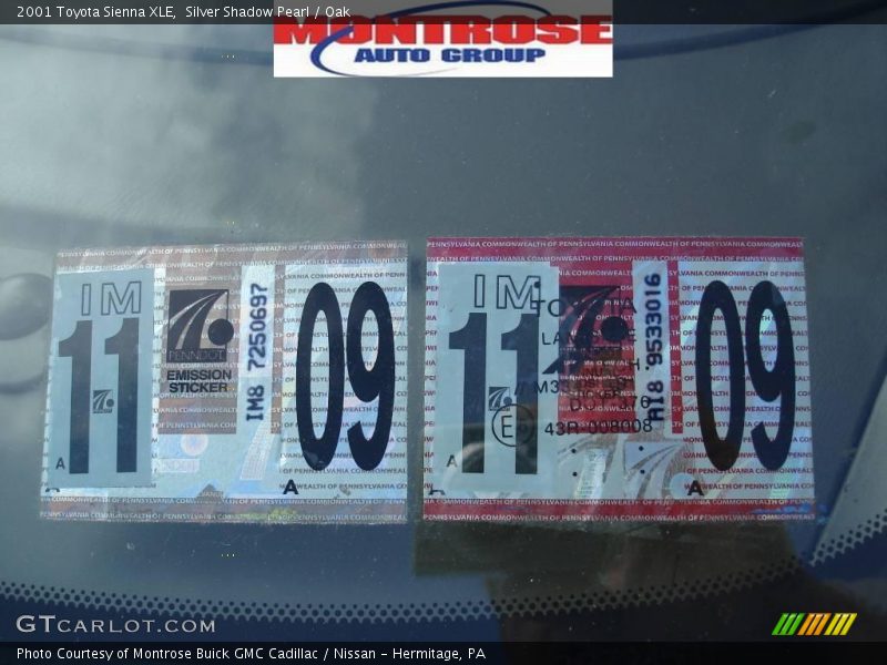 Silver Shadow Pearl / Oak 2001 Toyota Sienna XLE