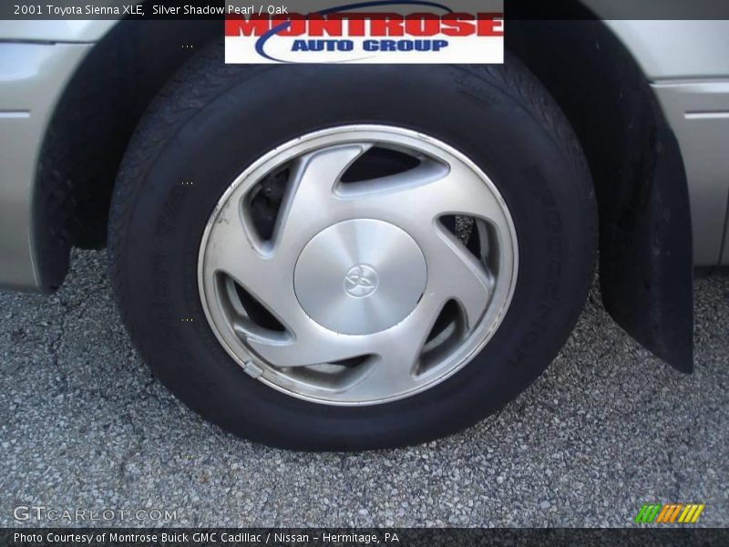 Silver Shadow Pearl / Oak 2001 Toyota Sienna XLE