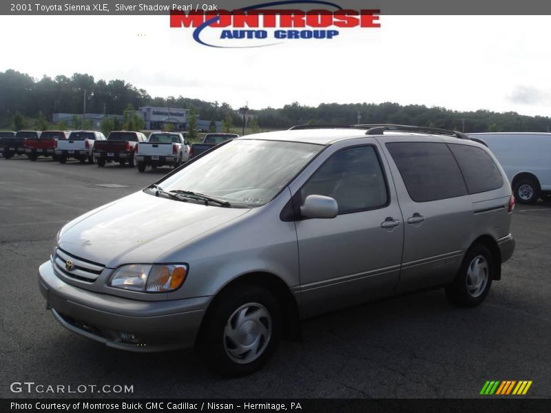 Silver Shadow Pearl / Oak 2001 Toyota Sienna XLE
