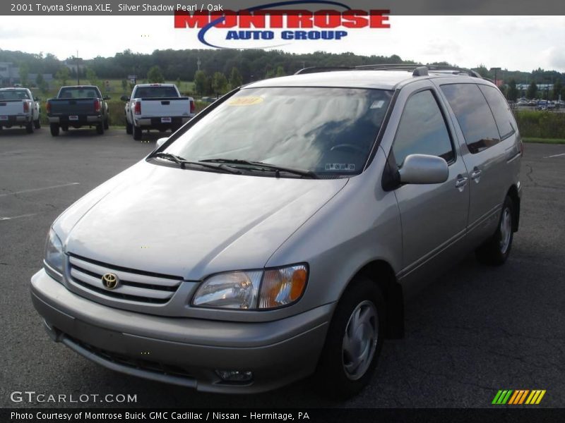 Silver Shadow Pearl / Oak 2001 Toyota Sienna XLE