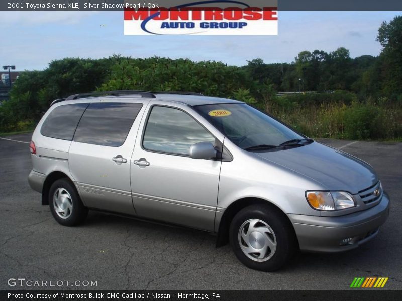 Silver Shadow Pearl / Oak 2001 Toyota Sienna XLE