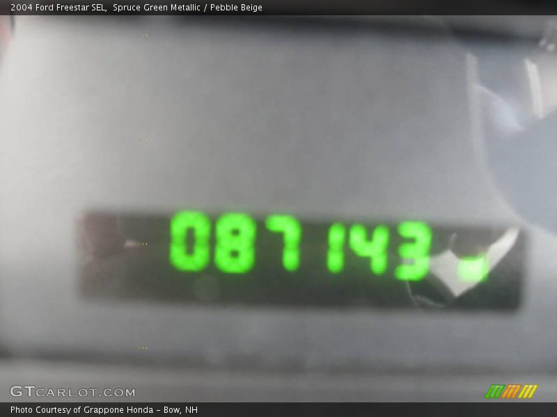 Spruce Green Metallic / Pebble Beige 2004 Ford Freestar SEL