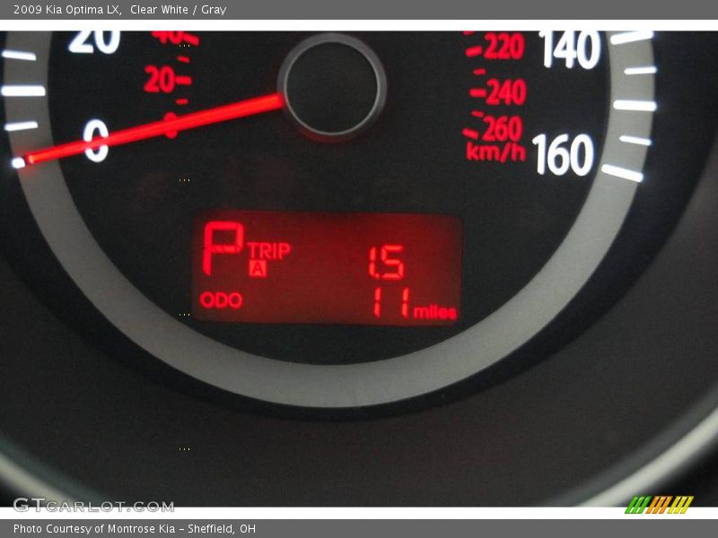 Clear White / Gray 2009 Kia Optima LX