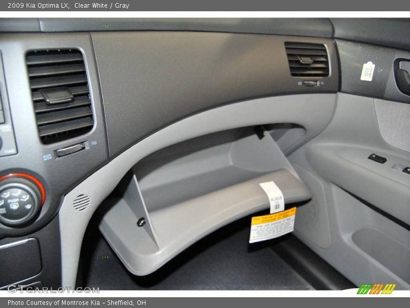 Clear White / Gray 2009 Kia Optima LX