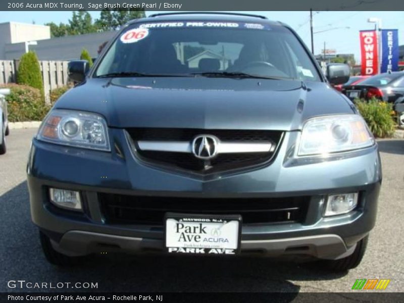Sage Brush Green Pearl / Ebony 2006 Acura MDX Touring