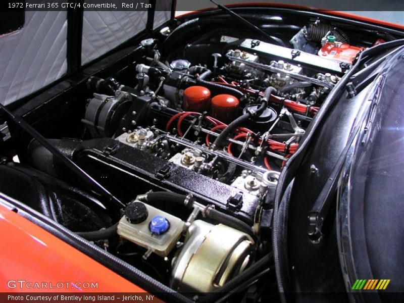 Red / Tan 1972 Ferrari 365 GTC/4 Convertible