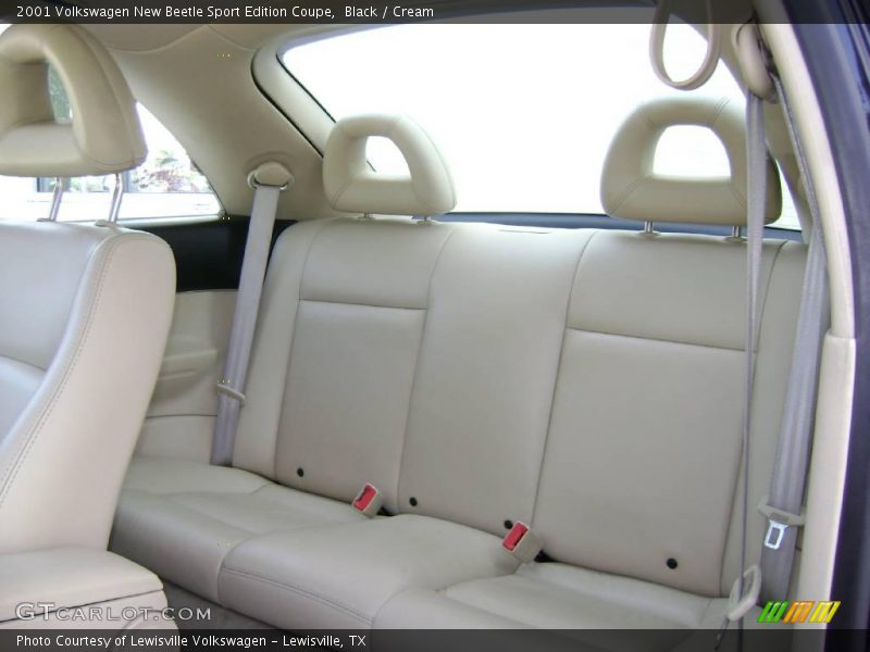 Black / Cream 2001 Volkswagen New Beetle Sport Edition Coupe