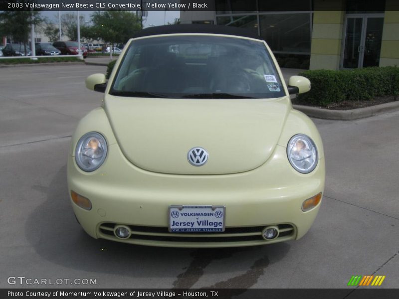 Mellow Yellow / Black 2003 Volkswagen New Beetle GLS Convertible
