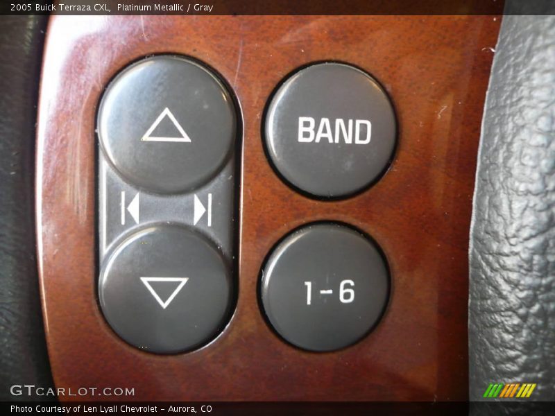 Platinum Metallic / Gray 2005 Buick Terraza CXL