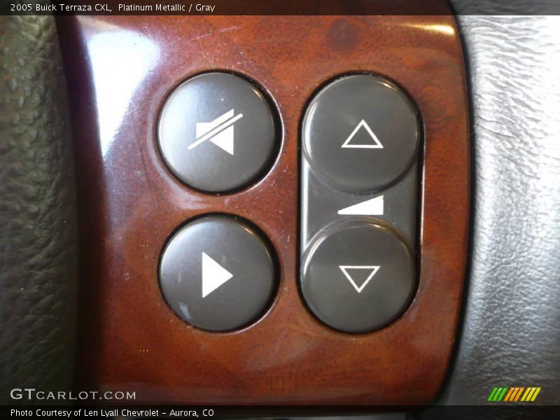 Platinum Metallic / Gray 2005 Buick Terraza CXL