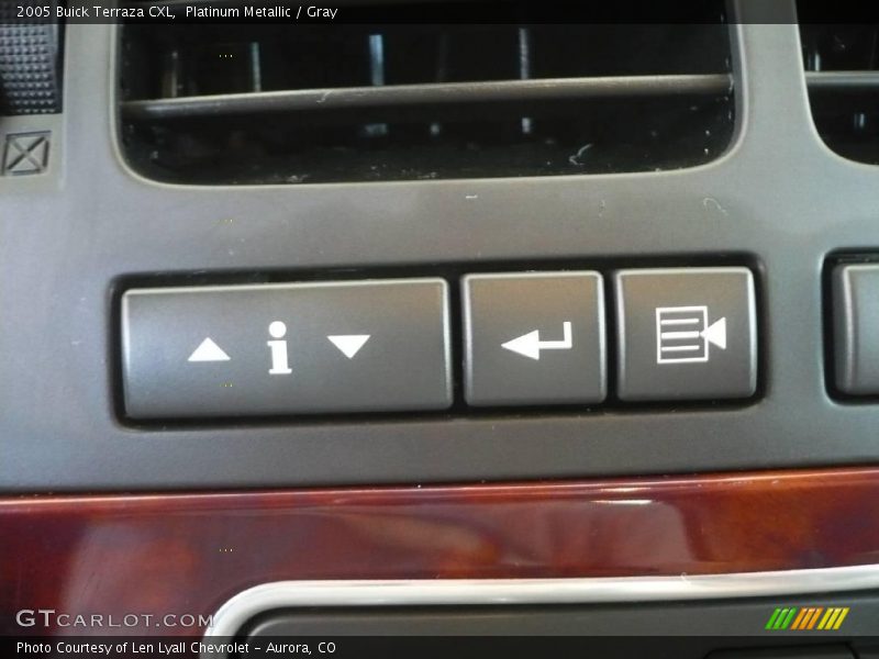 Platinum Metallic / Gray 2005 Buick Terraza CXL