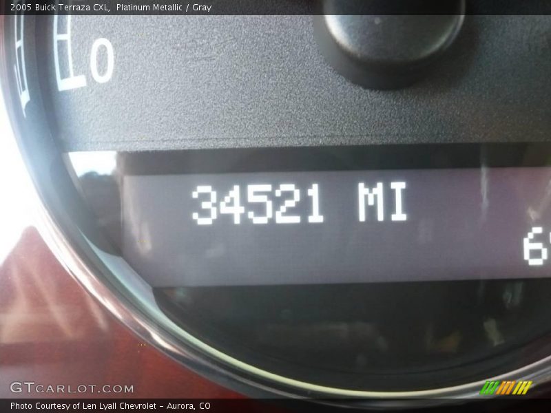Platinum Metallic / Gray 2005 Buick Terraza CXL