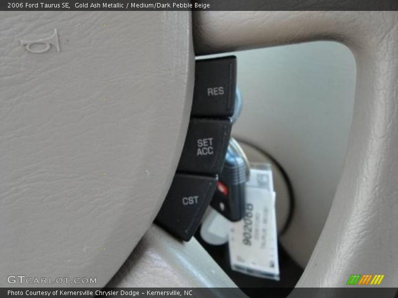 Gold Ash Metallic / Medium/Dark Pebble Beige 2006 Ford Taurus SE