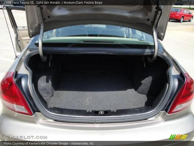 Gold Ash Metallic / Medium/Dark Pebble Beige 2006 Ford Taurus SE