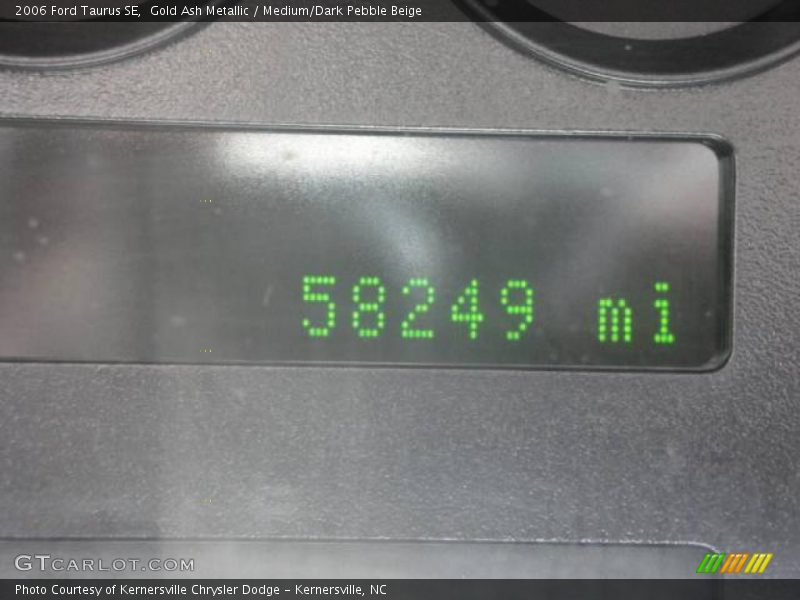 Gold Ash Metallic / Medium/Dark Pebble Beige 2006 Ford Taurus SE