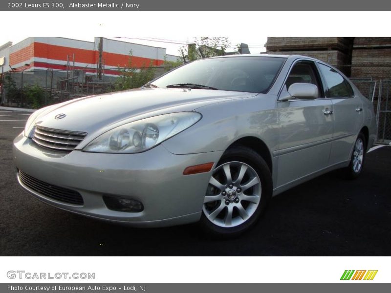 Alabaster Metallic / Ivory 2002 Lexus ES 300