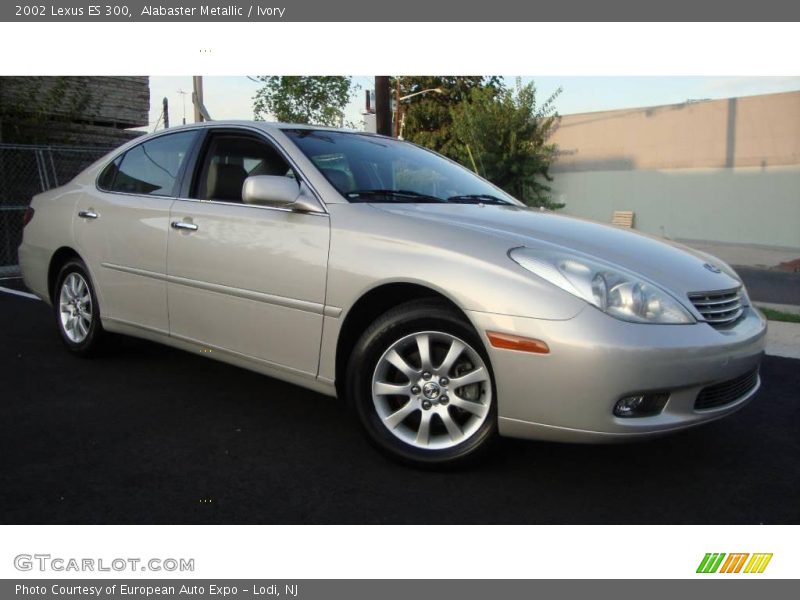 Alabaster Metallic / Ivory 2002 Lexus ES 300