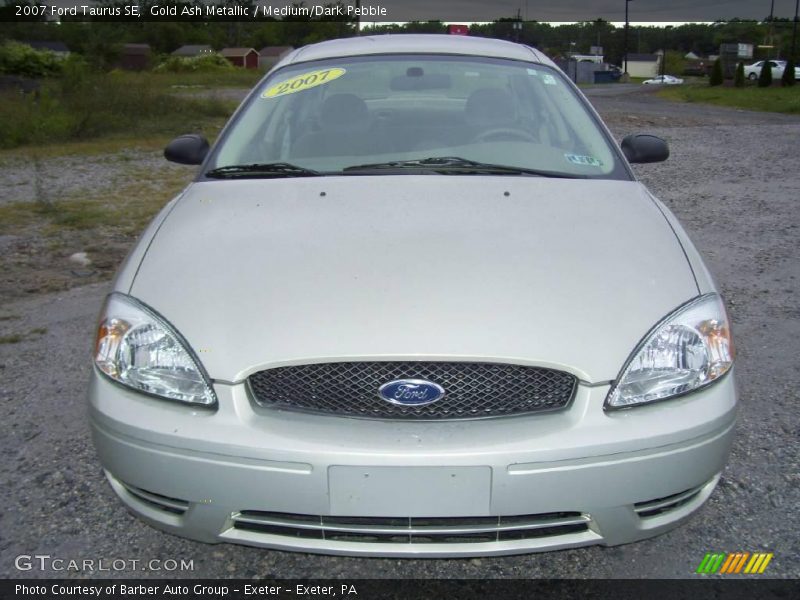 Gold Ash Metallic / Medium/Dark Pebble 2007 Ford Taurus SE