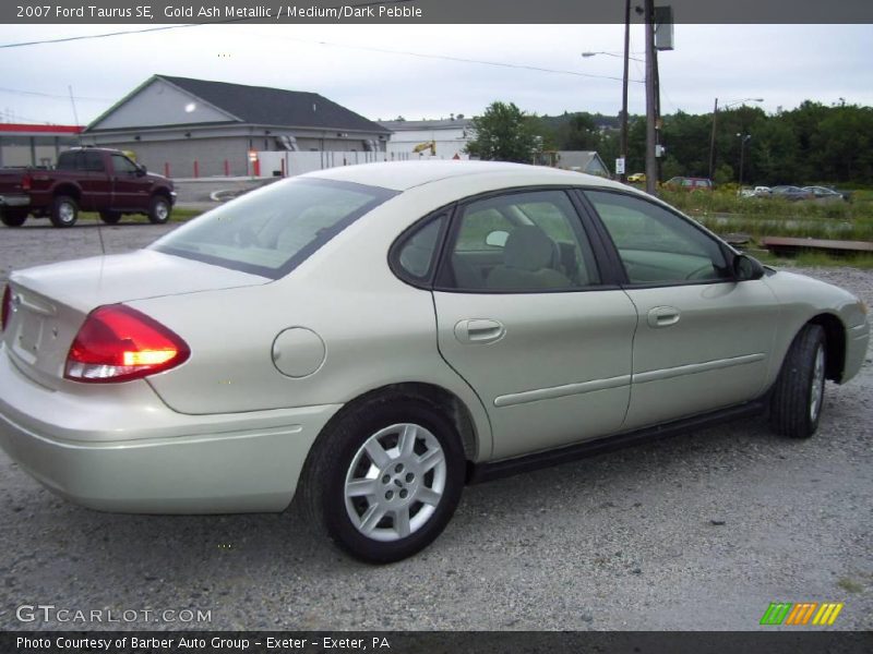 Gold Ash Metallic / Medium/Dark Pebble 2007 Ford Taurus SE