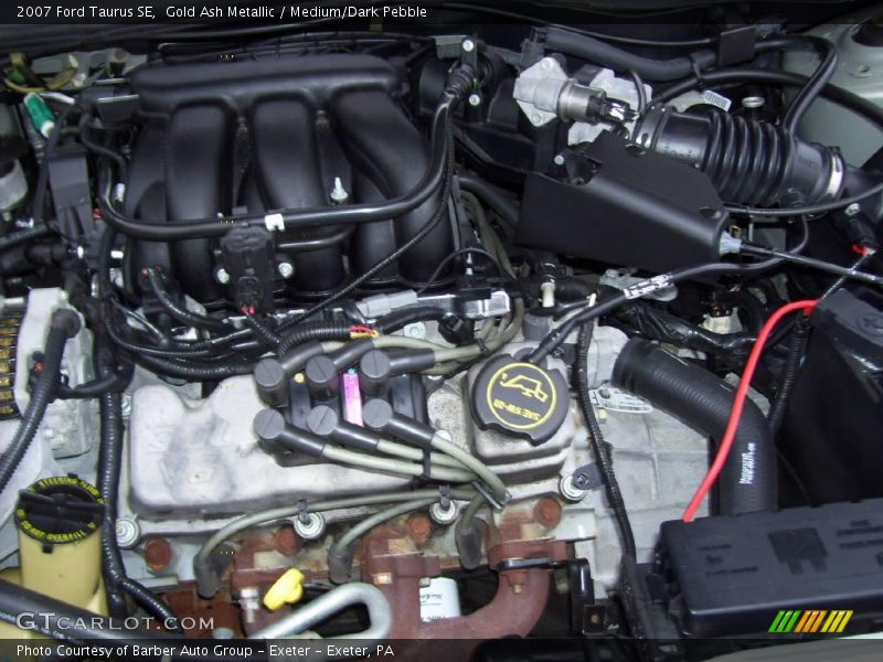 Gold Ash Metallic / Medium/Dark Pebble 2007 Ford Taurus SE