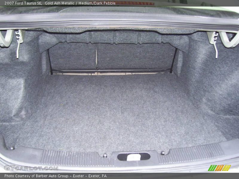 Gold Ash Metallic / Medium/Dark Pebble 2007 Ford Taurus SE