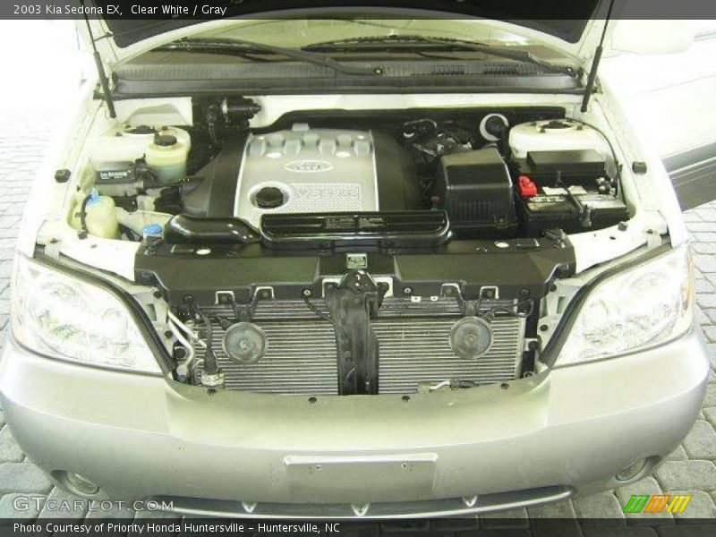Clear White / Gray 2003 Kia Sedona EX