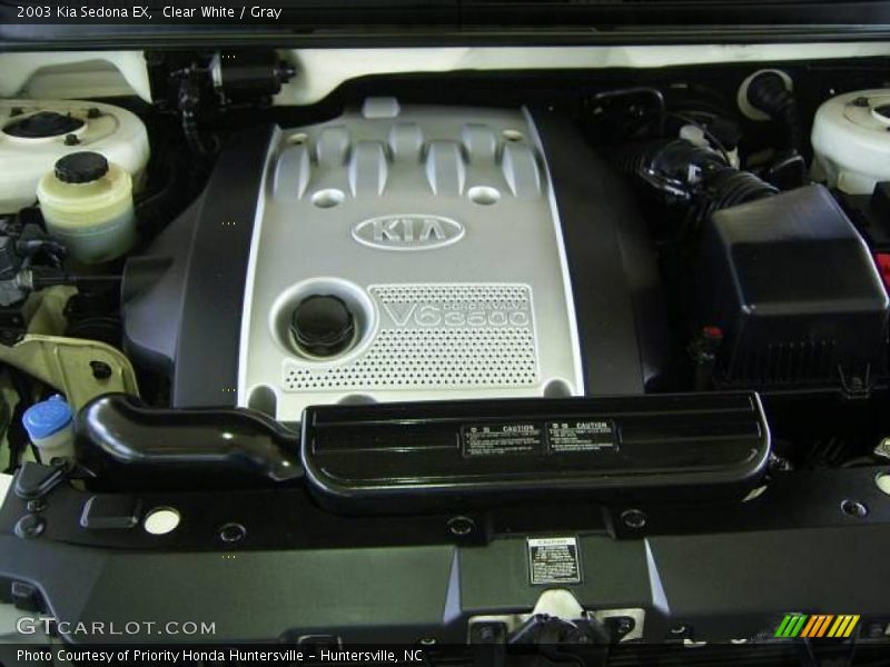Clear White / Gray 2003 Kia Sedona EX