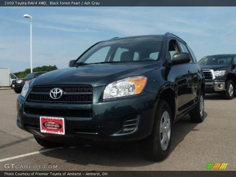 Black Forest Pearl / Ash Gray 2009 Toyota RAV4 4WD