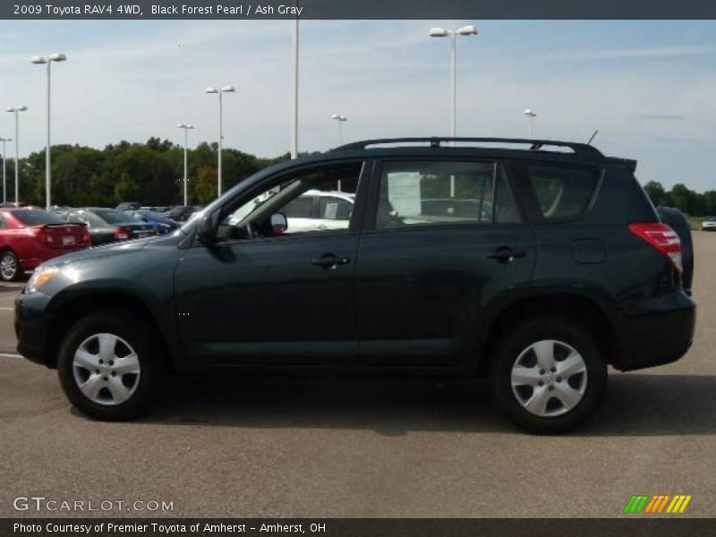 Black Forest Pearl / Ash Gray 2009 Toyota RAV4 4WD