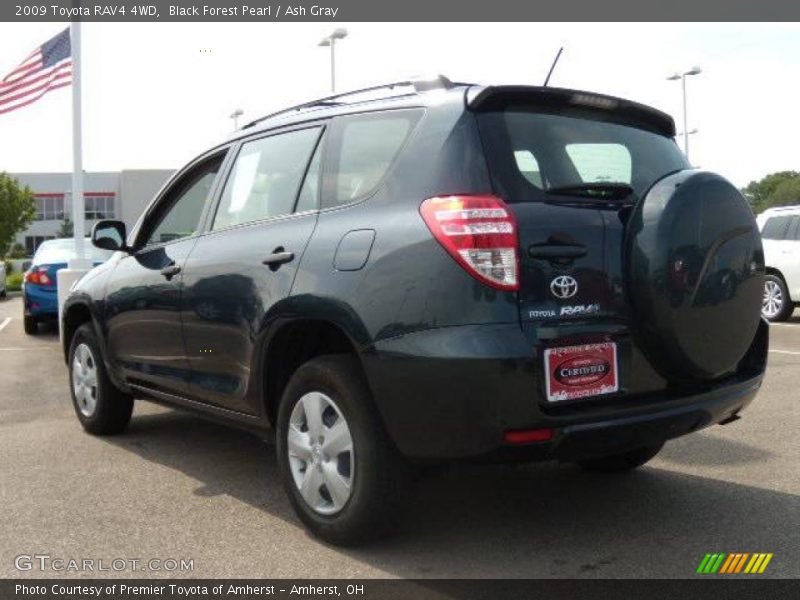 Black Forest Pearl / Ash Gray 2009 Toyota RAV4 4WD