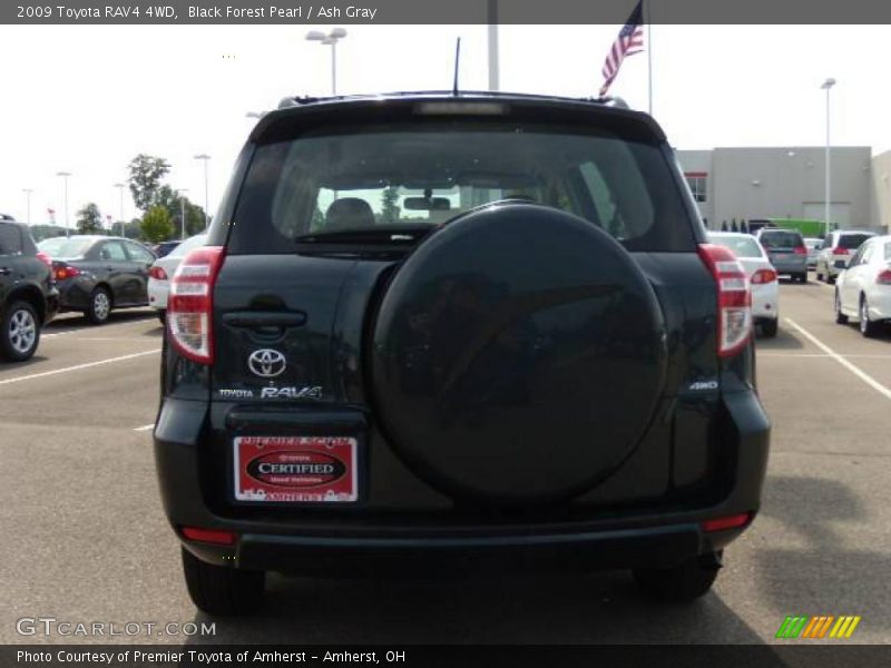 Black Forest Pearl / Ash Gray 2009 Toyota RAV4 4WD