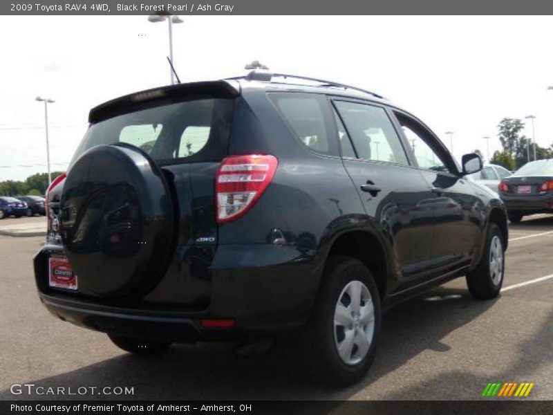 Black Forest Pearl / Ash Gray 2009 Toyota RAV4 4WD