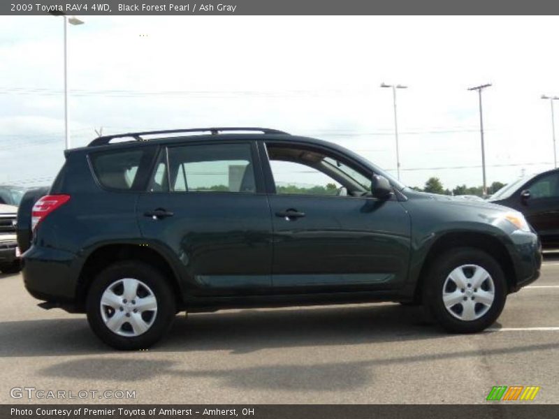 Black Forest Pearl / Ash Gray 2009 Toyota RAV4 4WD