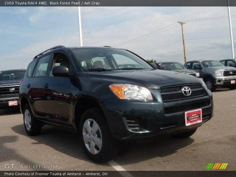 Black Forest Pearl / Ash Gray 2009 Toyota RAV4 4WD