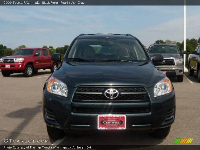 Black Forest Pearl / Ash Gray 2009 Toyota RAV4 4WD