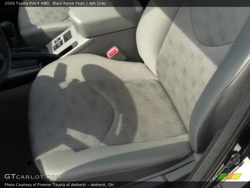Black Forest Pearl / Ash Gray 2009 Toyota RAV4 4WD